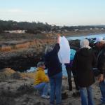 Cambria_0282 (November 02, 2013)